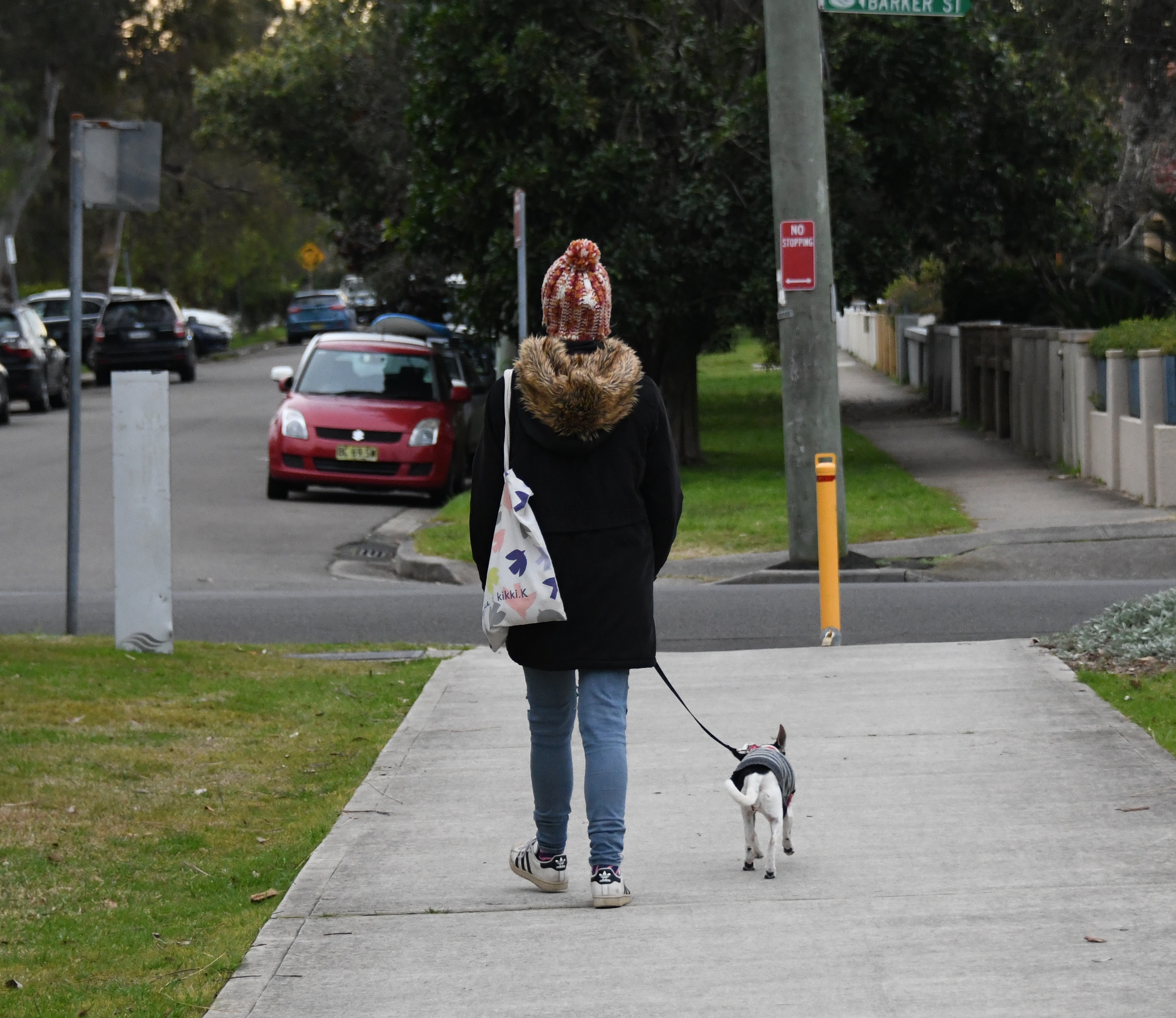 Persona paseando a un perro
