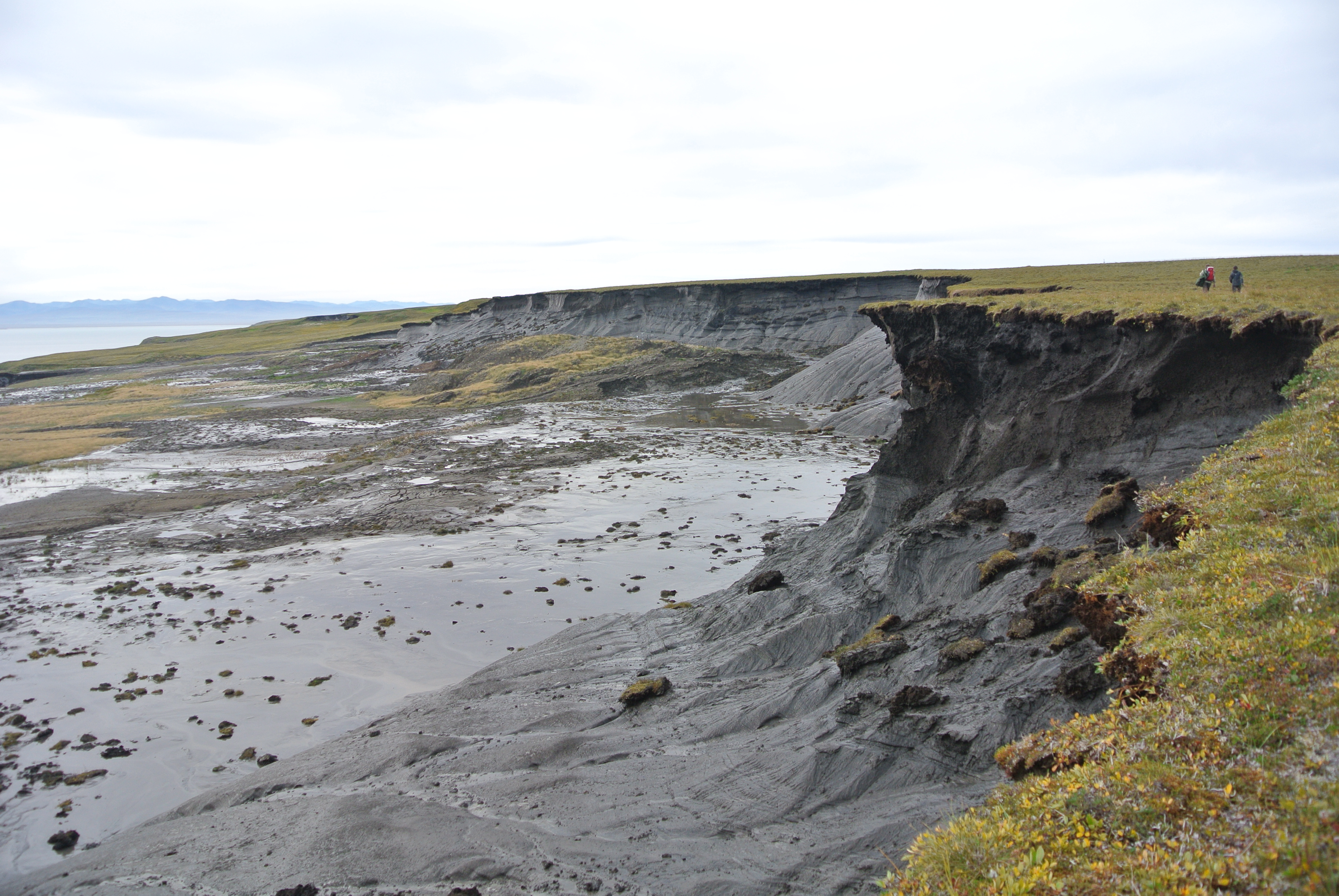 Corte de permafrost expuesto en la isla Herschel, Canadá