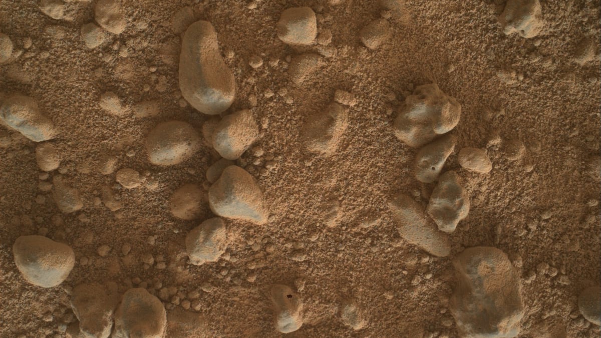 Imagen de detalle de una roca marciana registrada por la cámara MAHLI de Curiosity