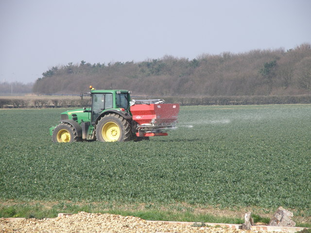 Gránulos de urea utilizados como fertilizante