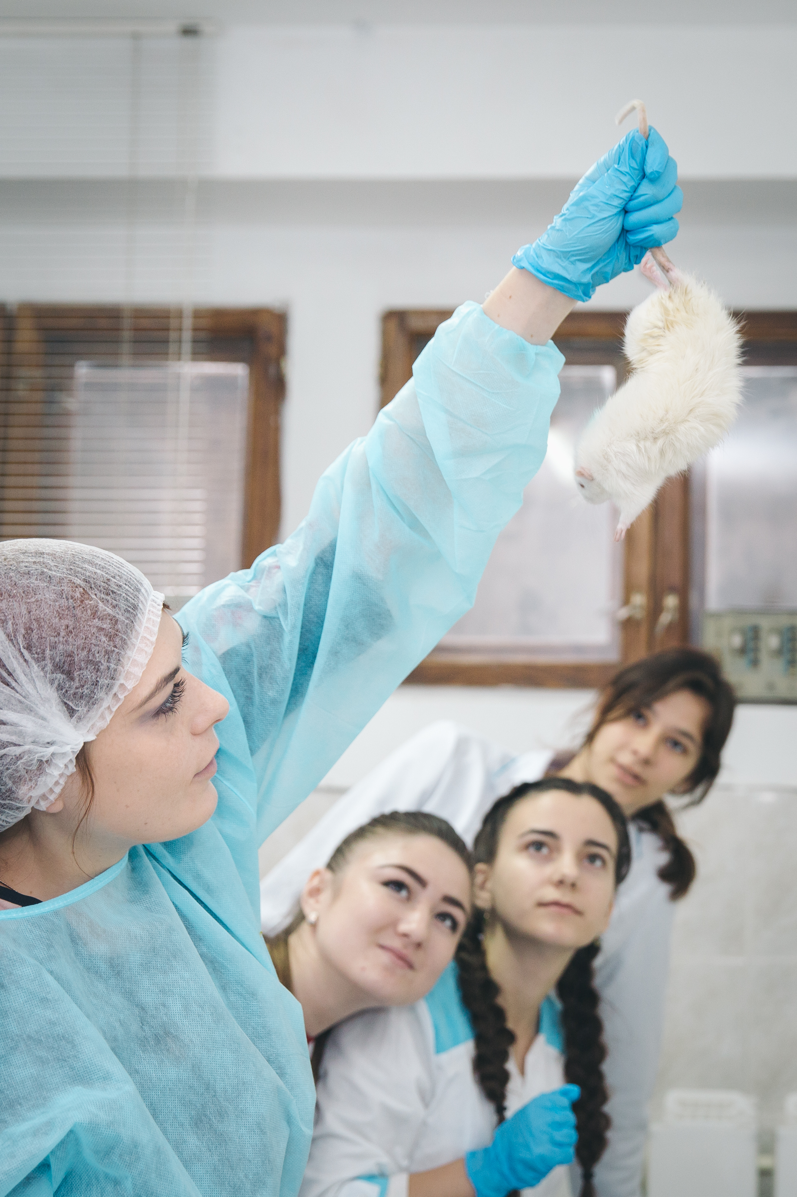 Investigadora sostiene un ratón blanco durante una práctica de laboratorio