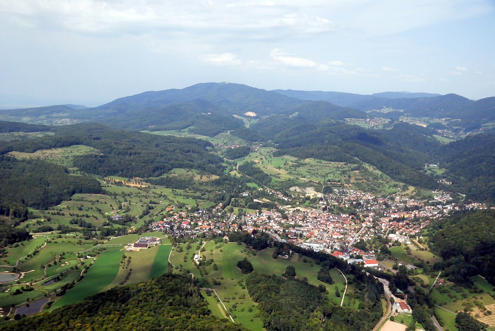 Bosque denso visto desde el aire