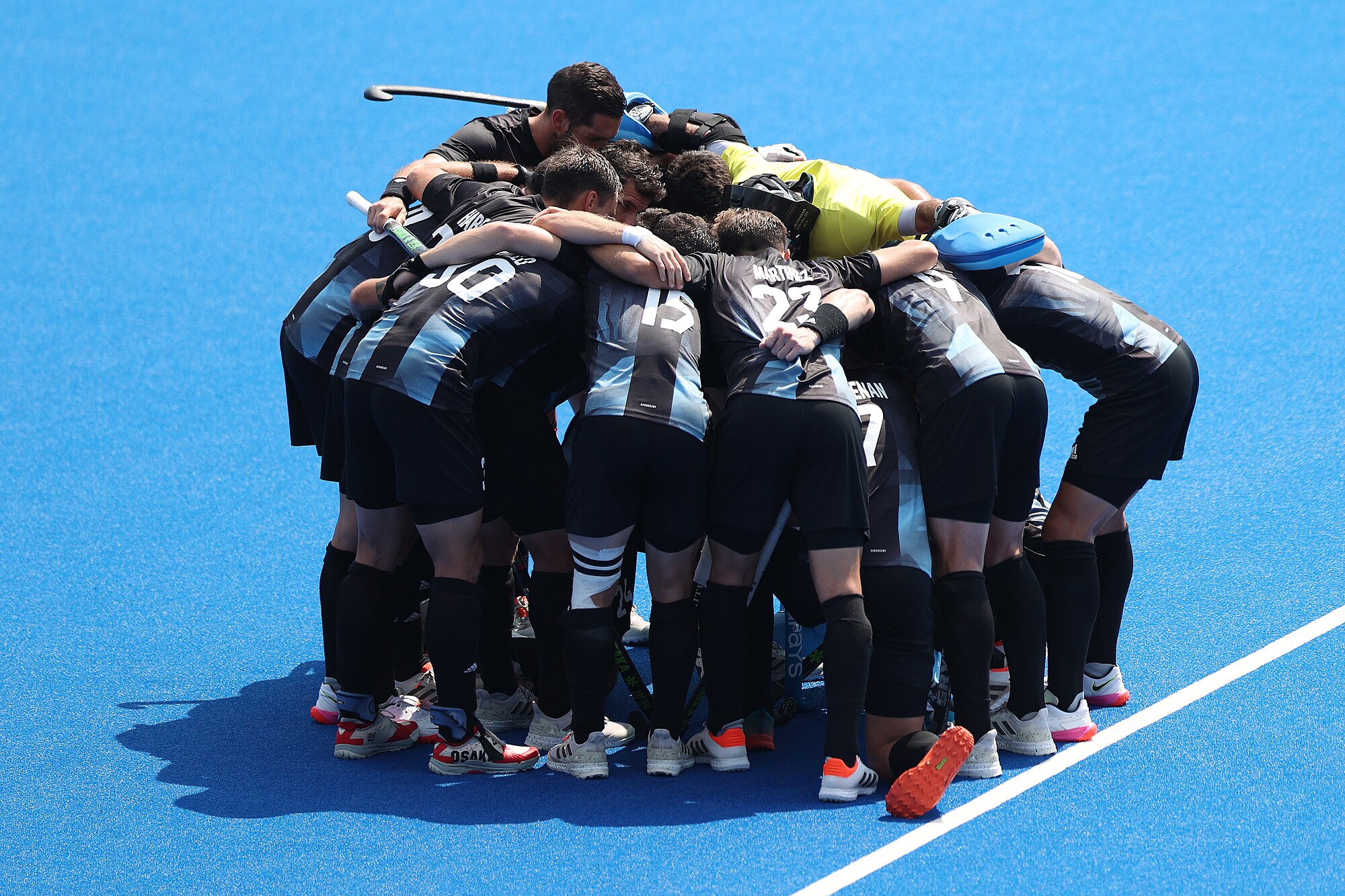Los Leones durante un partido internacional