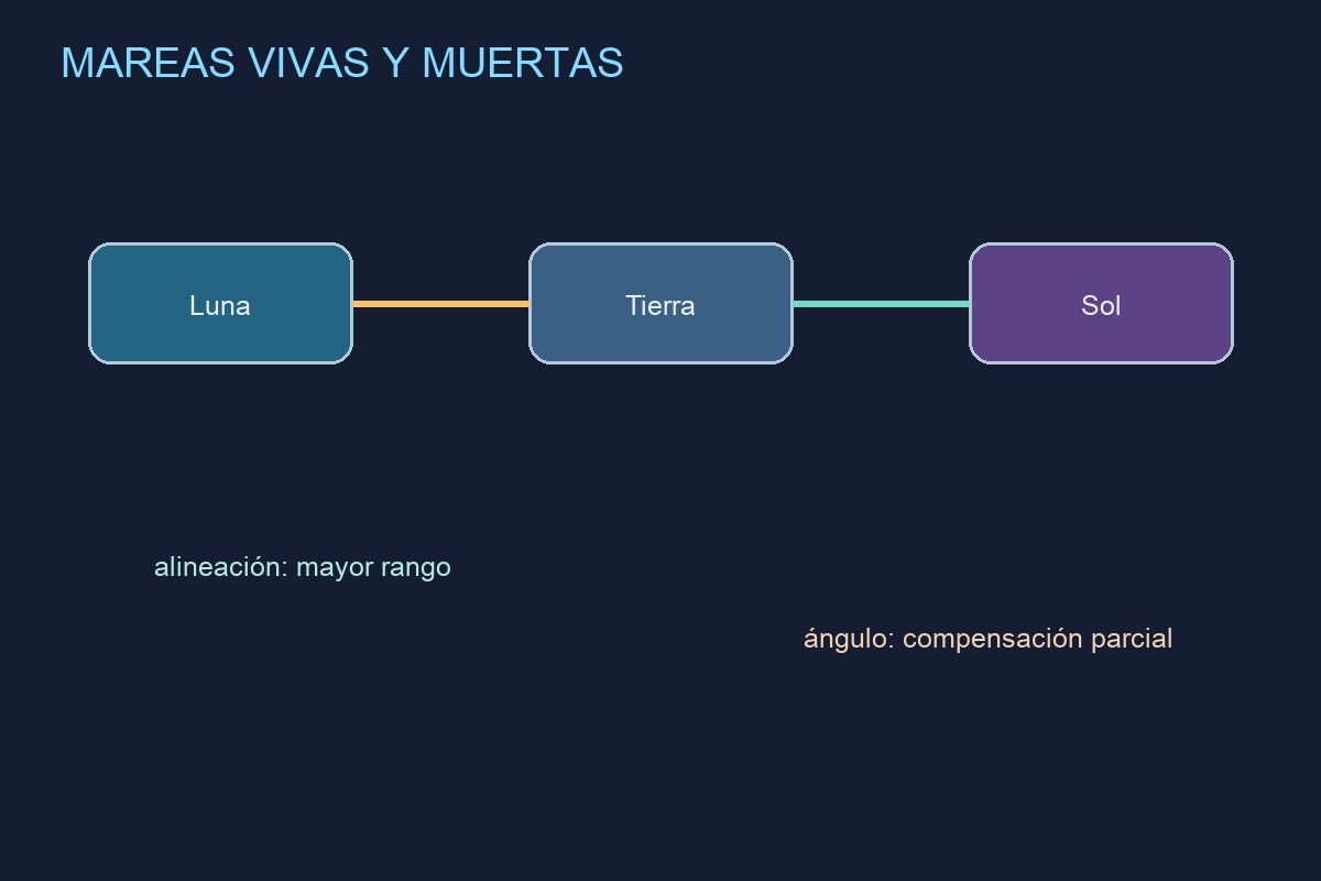 Mareas vivas y mareas muertas según la posición de la Luna y el Sol