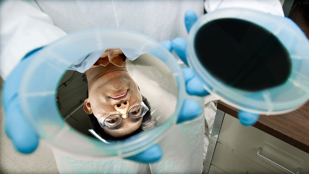 silicon wafer laboratory