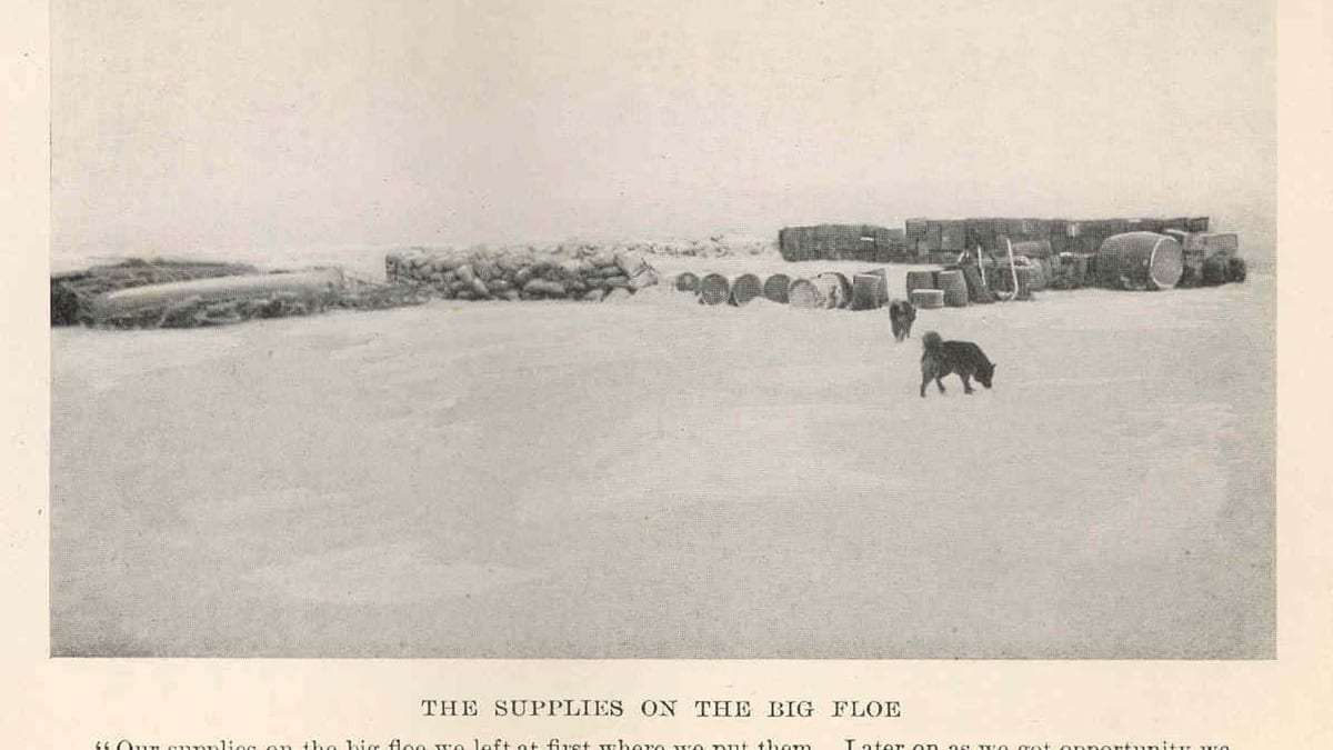 survival arctic expedition