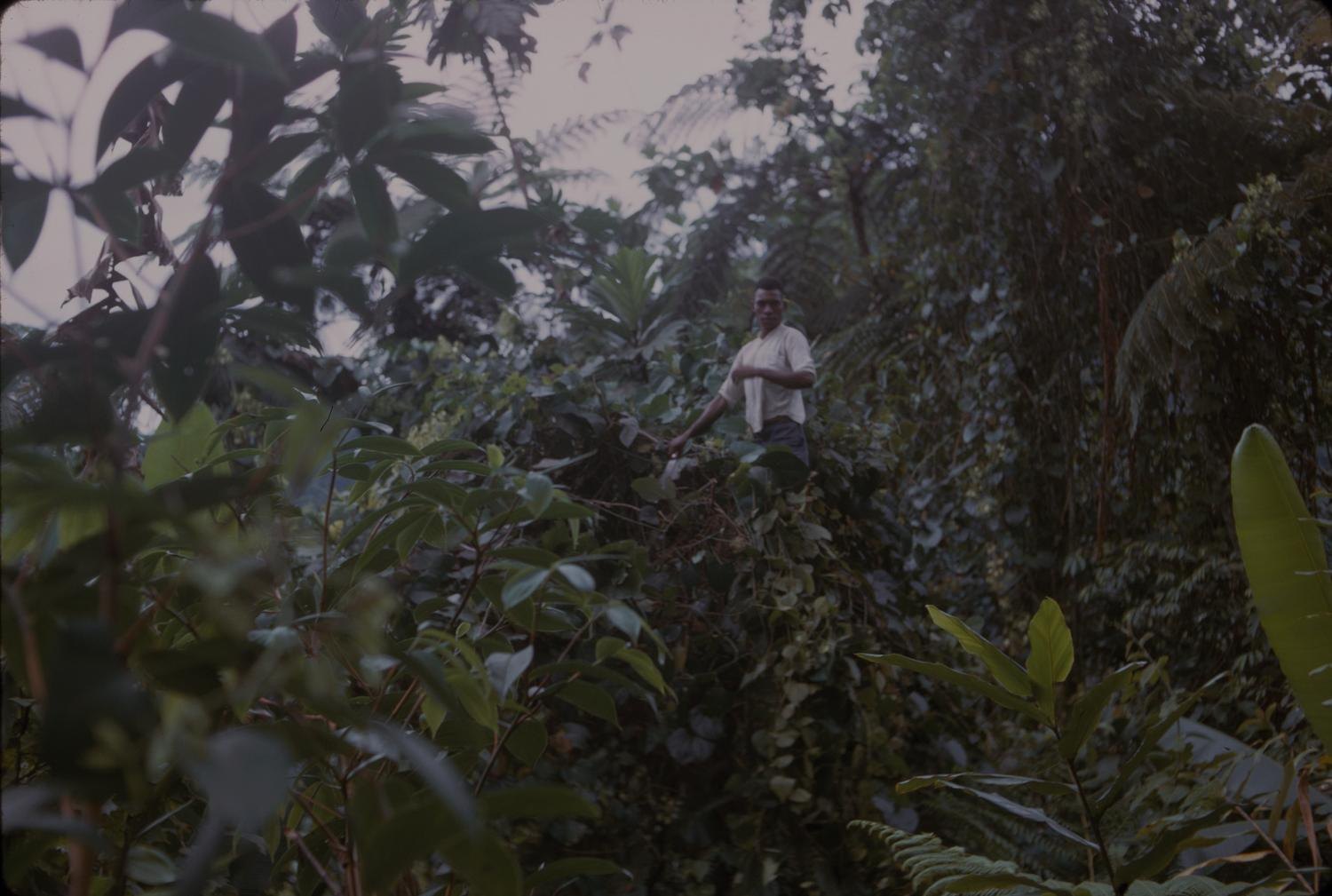 rainforest research expedition