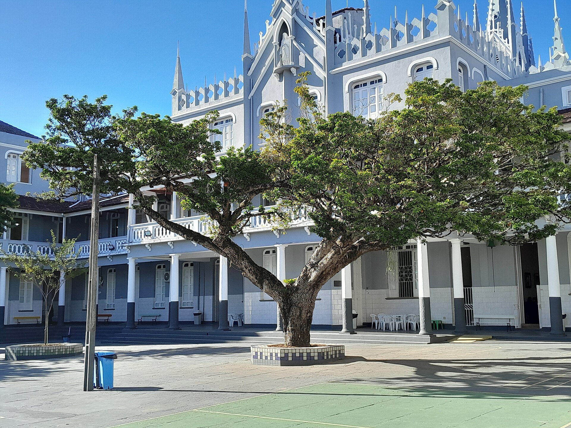 Edificio de un museo con un gran árbol en la entrada