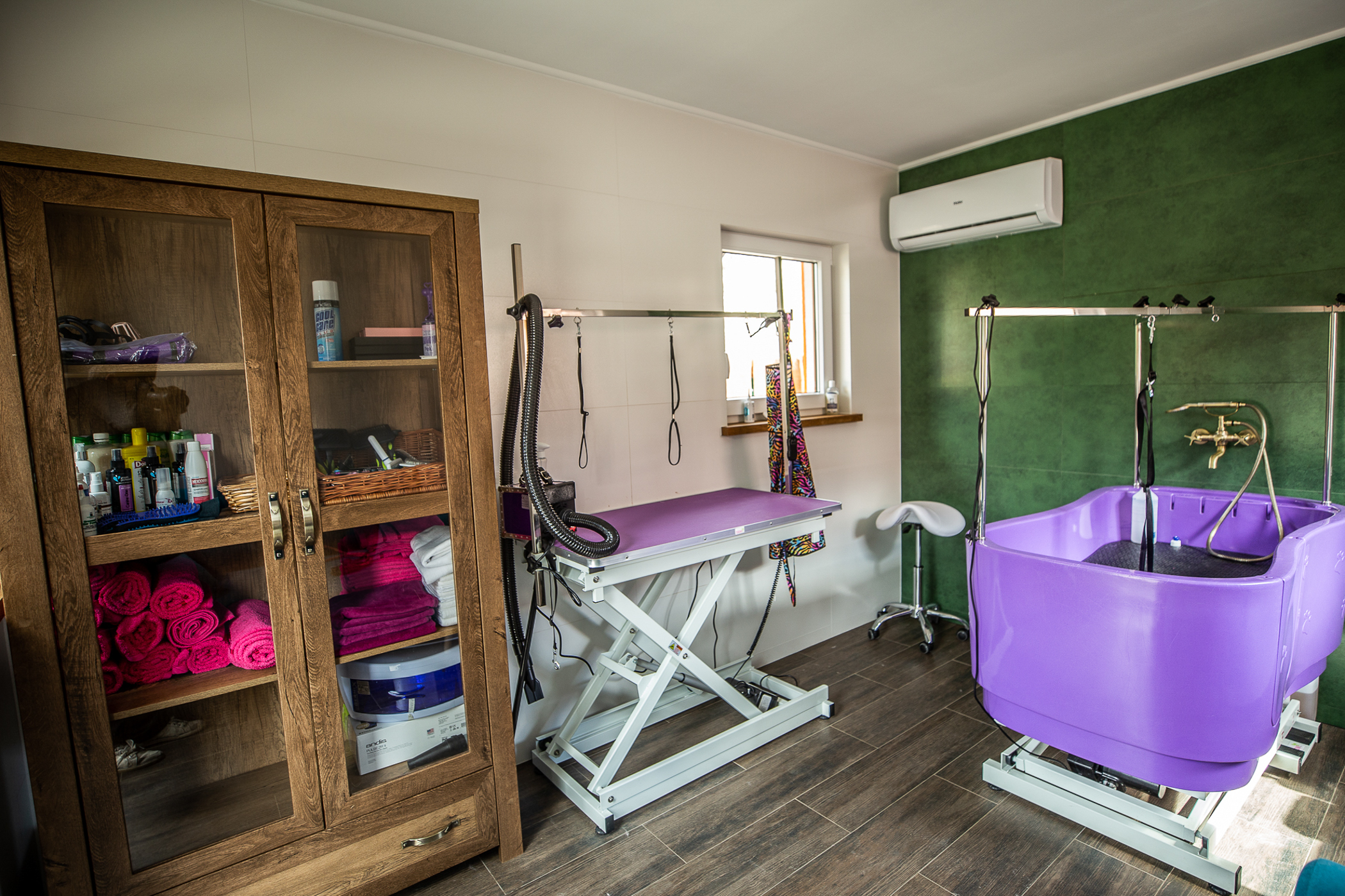 Sala equipada para el baño y la limpieza profesional de perros