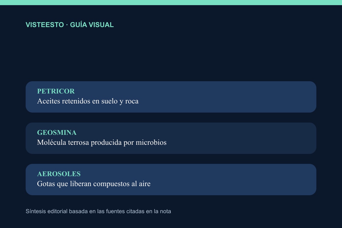 Los tres componentes que solemos llamar olor a lluvia
