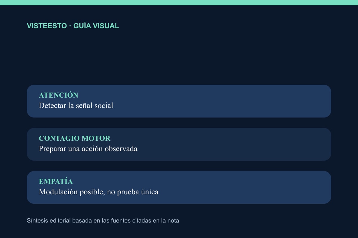Tres hipótesis para explicar un bostezo copiado