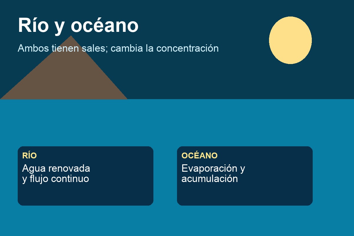 Comparación de concentración de sales entre río y océano