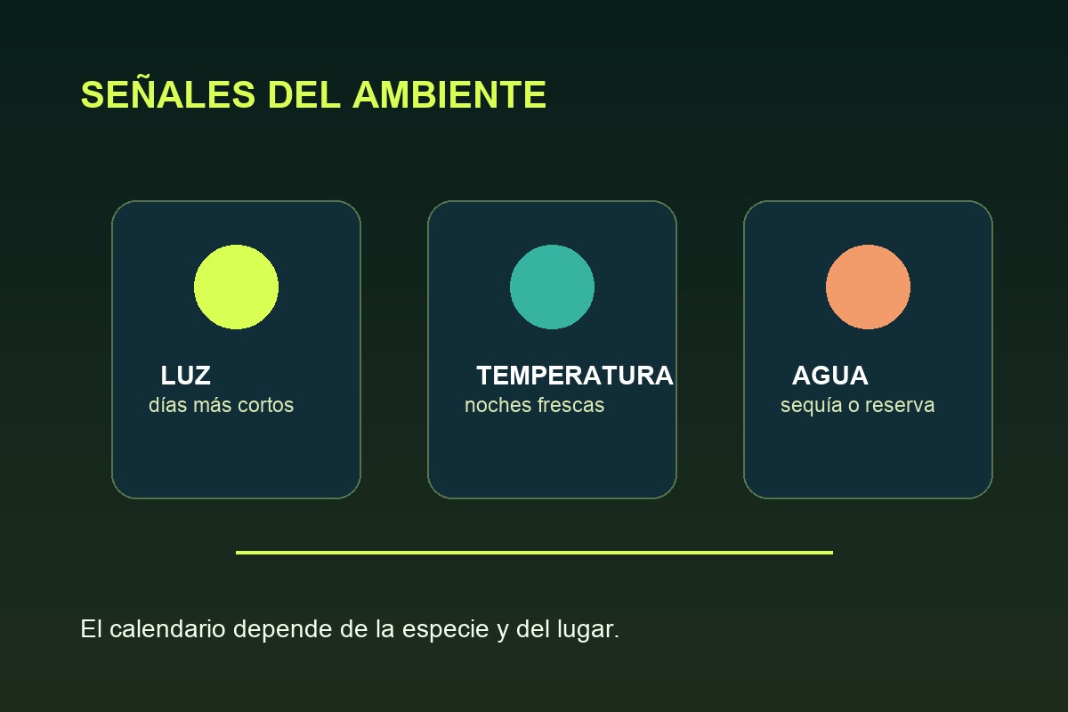 Señales de luz y temperatura que afectan una hoja