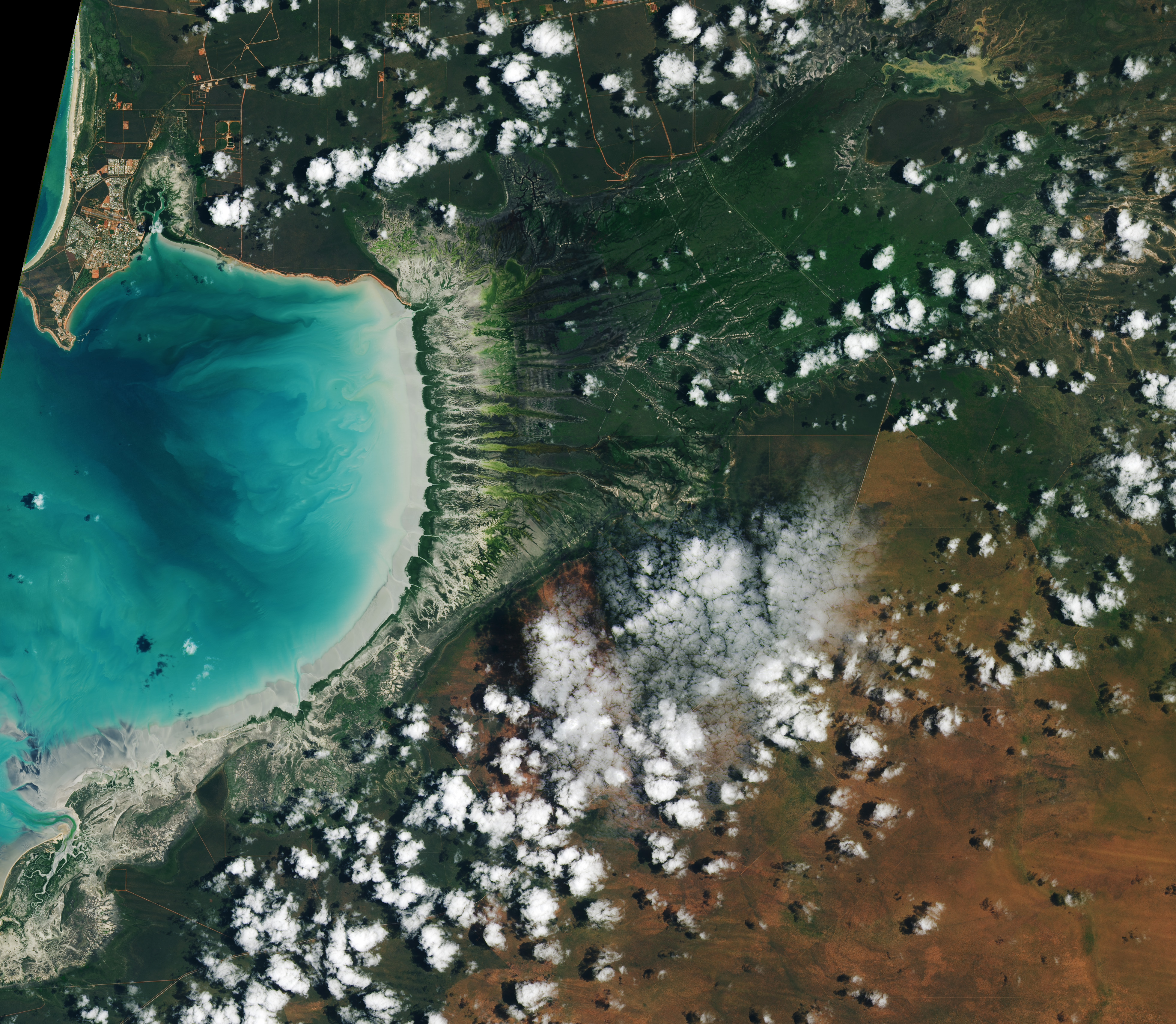 Roebuck Bay observada desde un satélite en enero de 2026