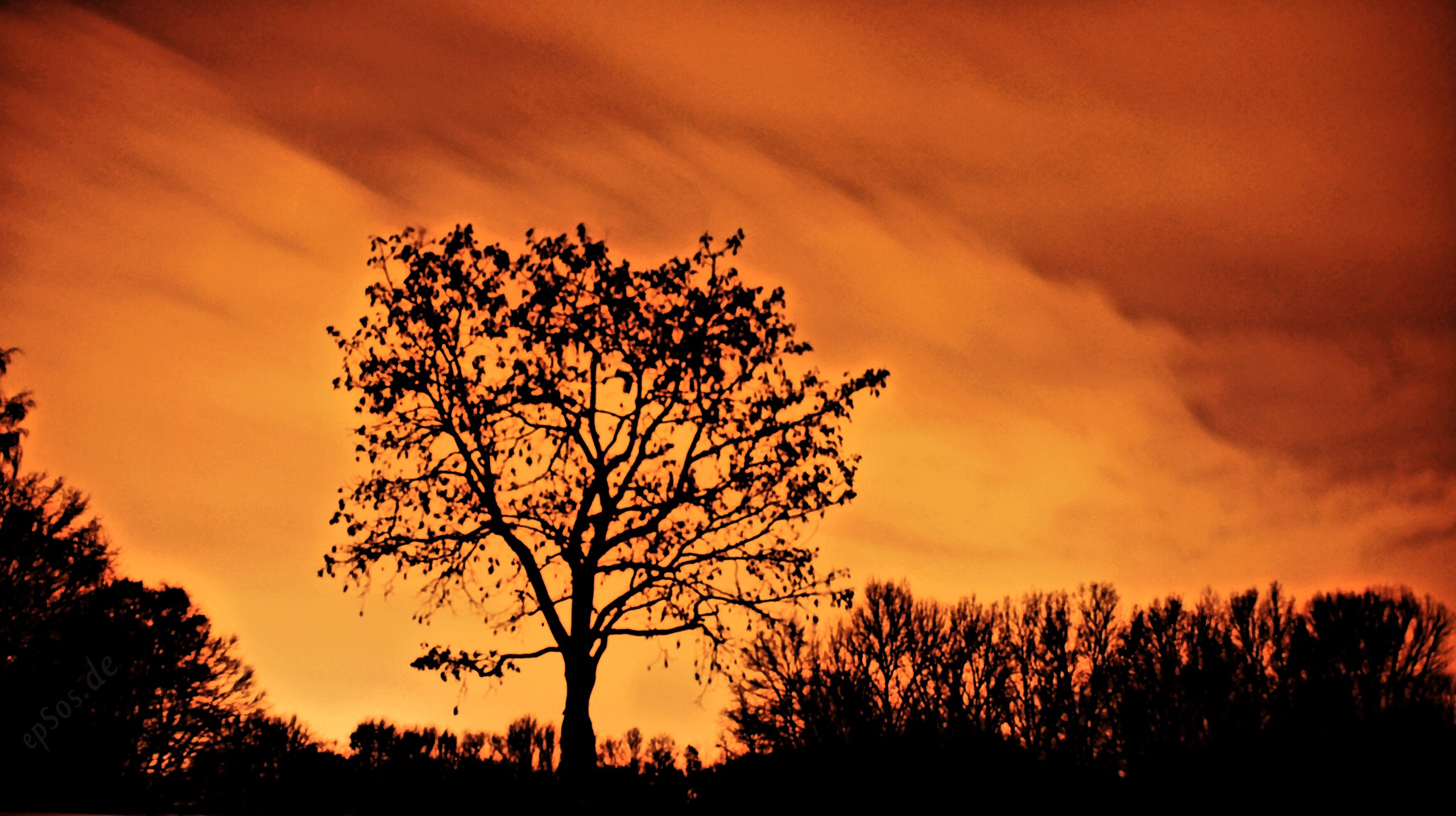 equinox night sky